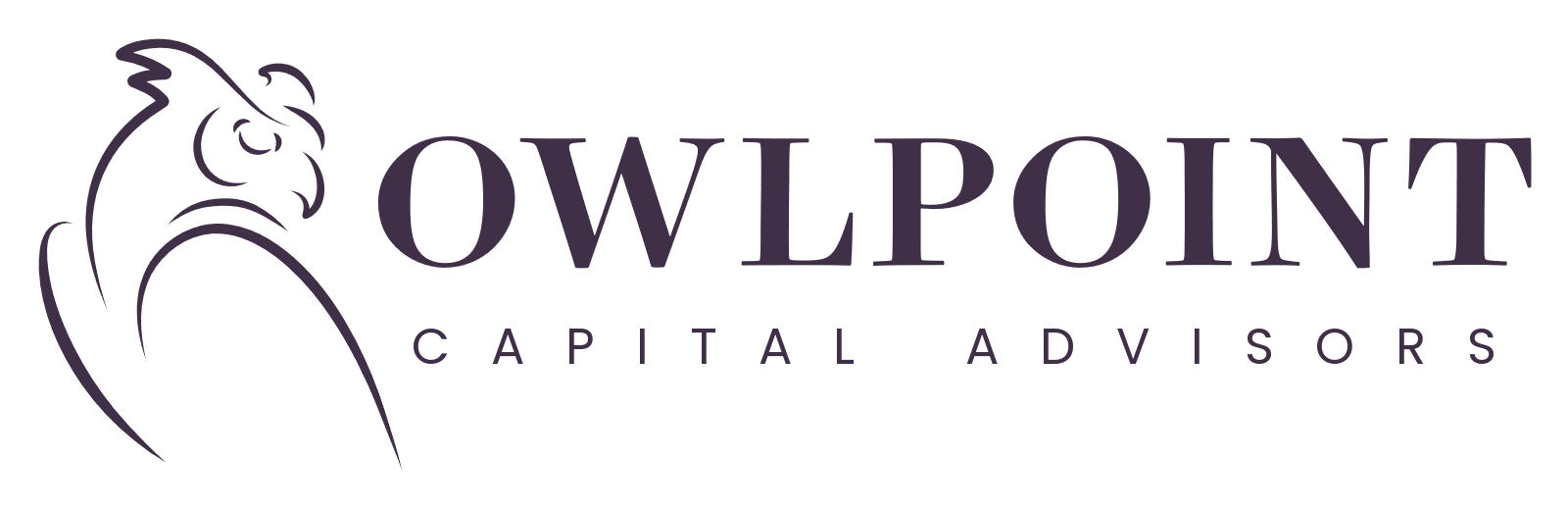 Owlpoint Logo